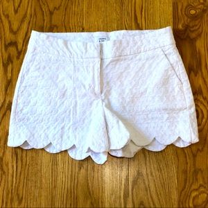 Crown and Ivy Scalloped Shorts - Size 6